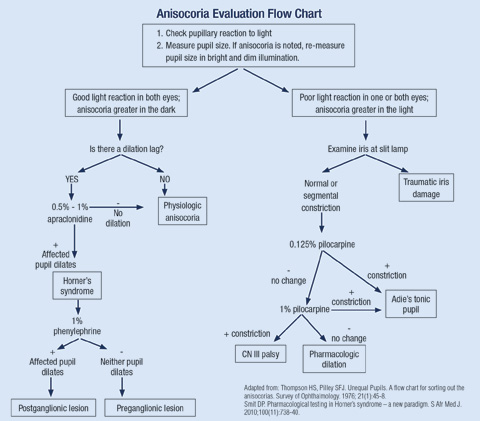 Anisocoria Evaluation Flow Chart