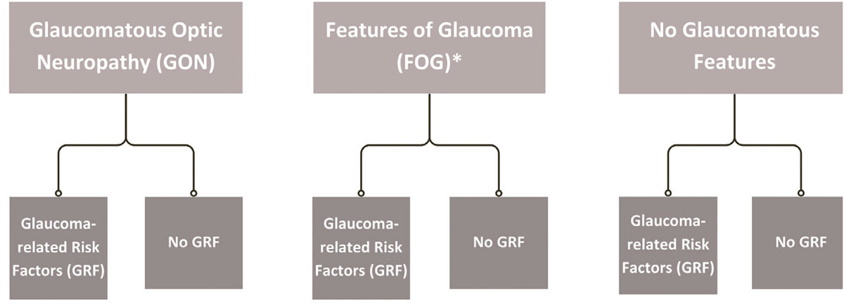 Fig. 1. Reclassification of glaucoma suspect into glaucomatous optic neuropathy, FOG (*includes pre-perimetric glaucoma) and no glaucoma, with further stratification of associated GRFs.