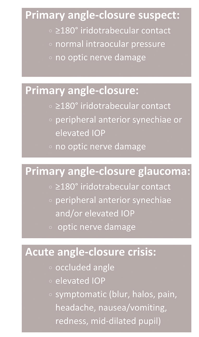 Fig. 5. Primary angle closure: “Narrow angle” is a vague term and applied inconsistently among physicians. The nomenclature at left is extracted from American Academy of Ophthalmology Preferred Practice Patterns.