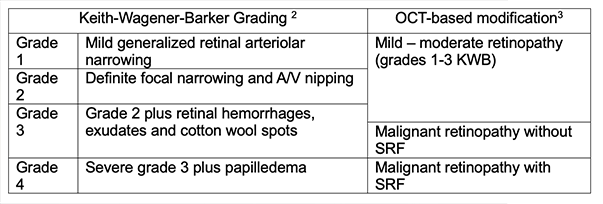 Fig. 2. Comparison of KWB grading and the OCT-based modification which emphasizes the presence of subretinal fluid (SRF). 