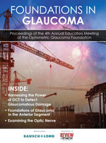 Foundations in Glaucoma