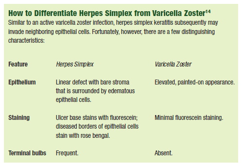 List Of Synonyms And Antonyms Of The Word Herpes Simplex And Shingles